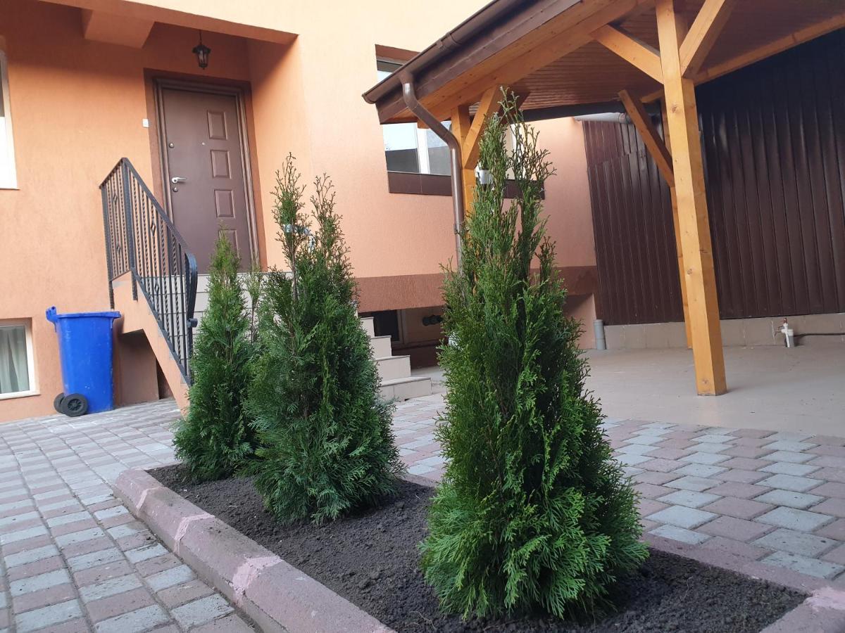 Villa Accommodation Bucureşti Ngoại thất bức ảnh